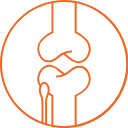 Bone Joints Icon